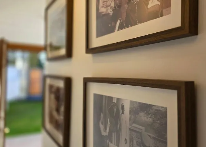 Stardew Valley - Exclusivity&comfort In Gijón